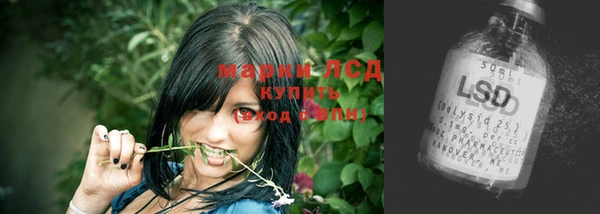 крисы Заводоуковск