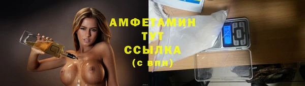 крисы Заводоуковск