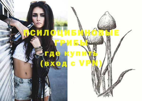mdpv Елизово