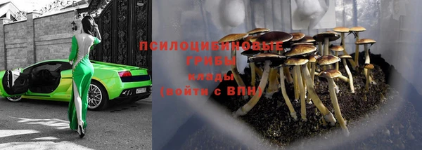 крисы Заводоуковск